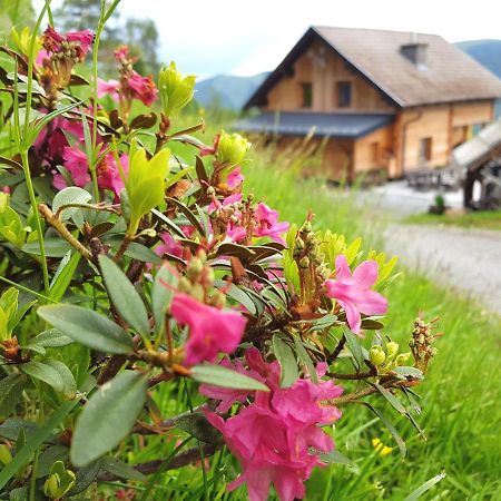 Almhuette Kristabauer Villa Predlitz Екстериор снимка