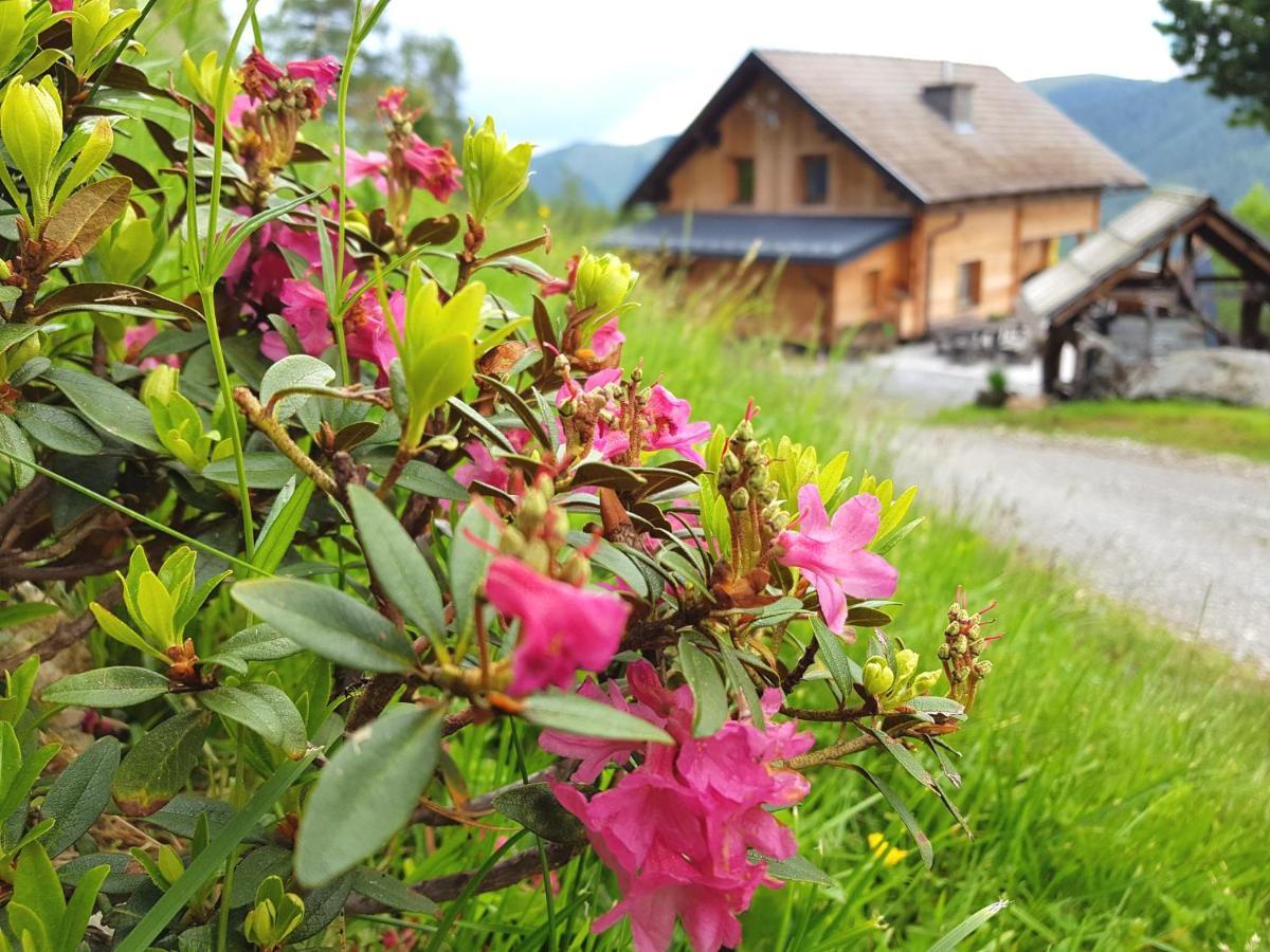 Almhuette Kristabauer Villa Predlitz Екстериор снимка